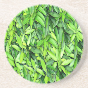 Lush Green Blätter Pattern - Natur botanisch Getränkeuntersetzer