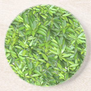 Lush Green Blätter Pattern - Natur botanisch Getränkeuntersetzer