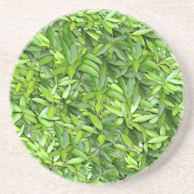 Lush Green Blätter Pattern - Natur botanisch Getränkeuntersetzer (Vorne)