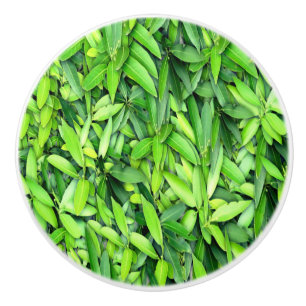 Lush Green Blätter Pattern - Natur botanisch Keramikknauf