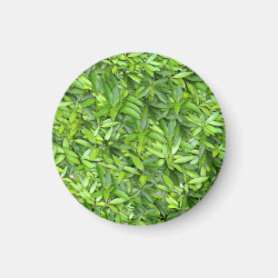Lush Green Blätter Pattern - Natur botanisch Magnet