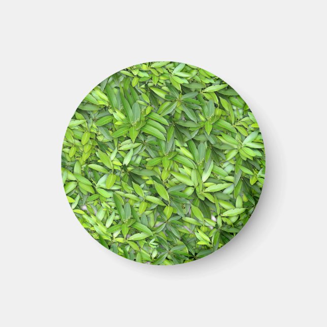Lush Green Blätter Pattern - Natur botanisch Magnet (Vorne)