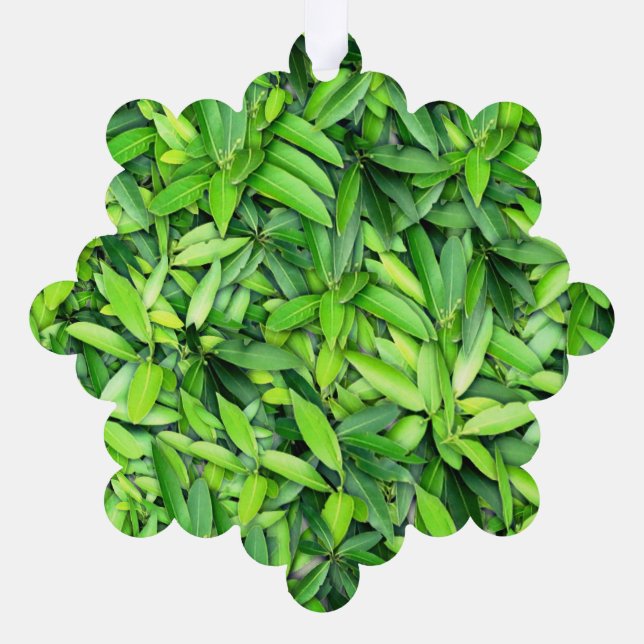 Lush Green Blätter Pattern - Natur botanisch Ornament Karte (Rückseite)