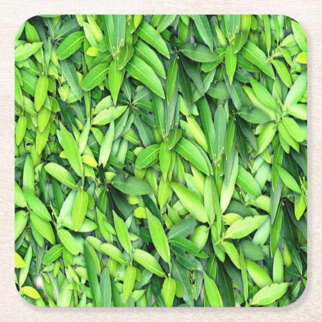 Lush Green Blätter Pattern - Natur botanisch Rechteckiger Pappuntersetzer (Vorderseite)