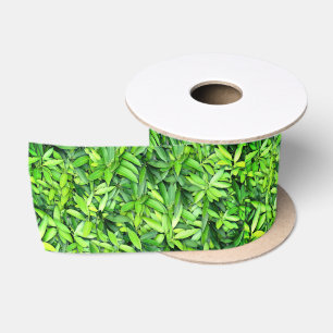 Lush Green Blätter Pattern - Natur botanisch Satinband