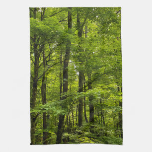 Lush Green Forest Acryllic Print Geschirrtuch