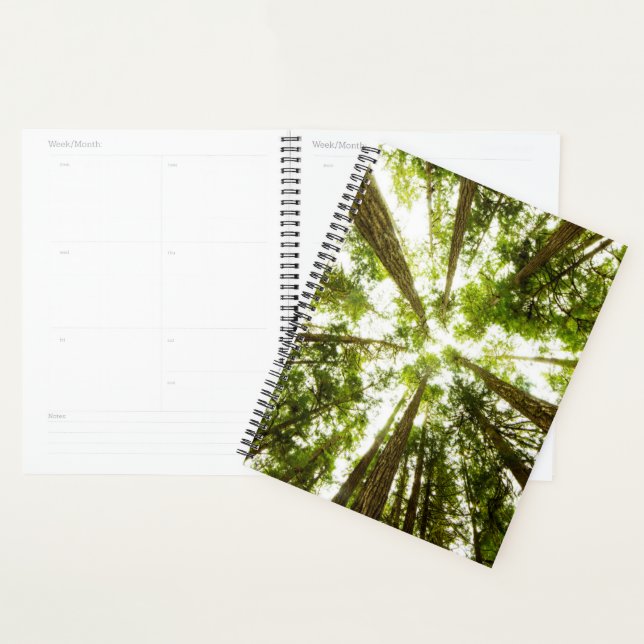 Lush Green Rain Forest Planer (Anzeige)