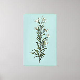 Lush Green Rosemary Sprig Painting Leinwanddruck