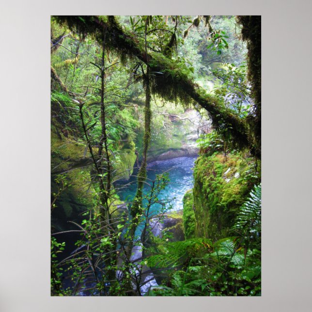 Lush Jungle River Poster (Vorne)