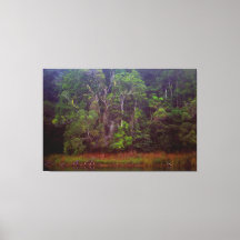 LUSH RAINFOREST 40x60