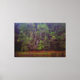 LUSH RAINFOREST 40x60 Leinwanddruck