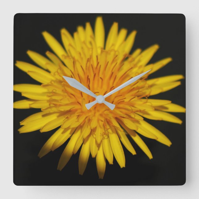 Lüster-Blume-Uhr Quadratische Wanduhr (Vorderseite)