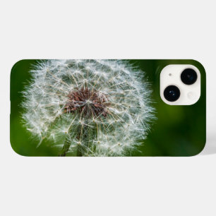 Lüster im hellen iPhone-Fall Case-Mate iPhone 14 Hülle