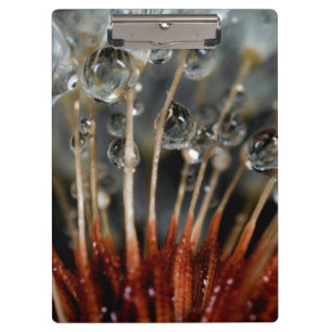 Lüster und Wassertropfen, CA Klemmbrett