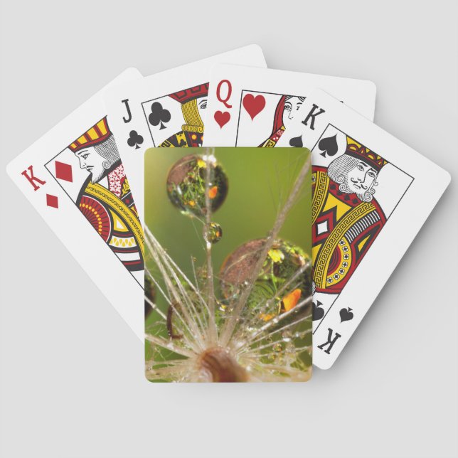 Lüster und Wassertropfen Spielkarten (Rückseite)