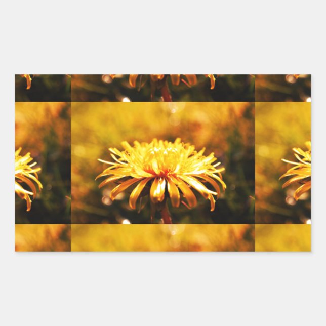 Lüsterngelbe Blume Frühlingsfrüchte Rechteckiger Aufkleber (Vorderseite)
