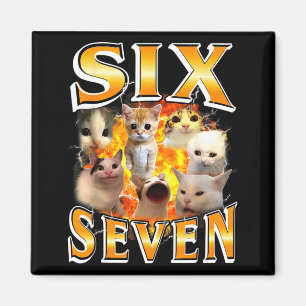 Lustig 67 Meme Six Seven Katzen Meme Lustig Bootle Magnet