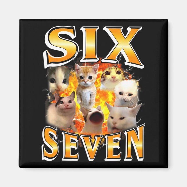 Lustig 67 Meme Six Seven Katzen Meme Lustig Bootle Magnet (Vorne)