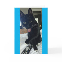 lustig danke, das DA Fernmutter zu kardieren