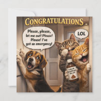 Lustig der Streich Hund und Katze Gratulation lese