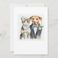 lustig ernst: Katzen- und Hundefutter, Aquarell