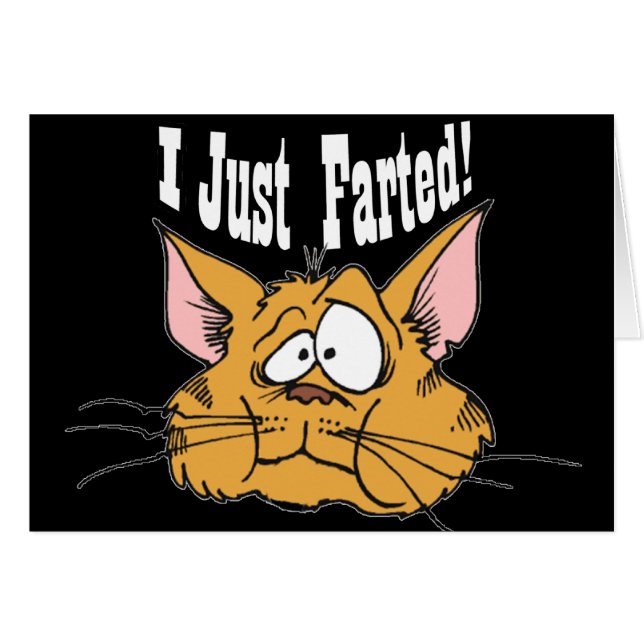 Lustig Farted ich gerade unhöfliche Geschenke (Vorderseite (Horizontal))