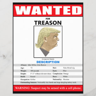 Lustig: Gesucht: Trump wegen Verrats Flyer
