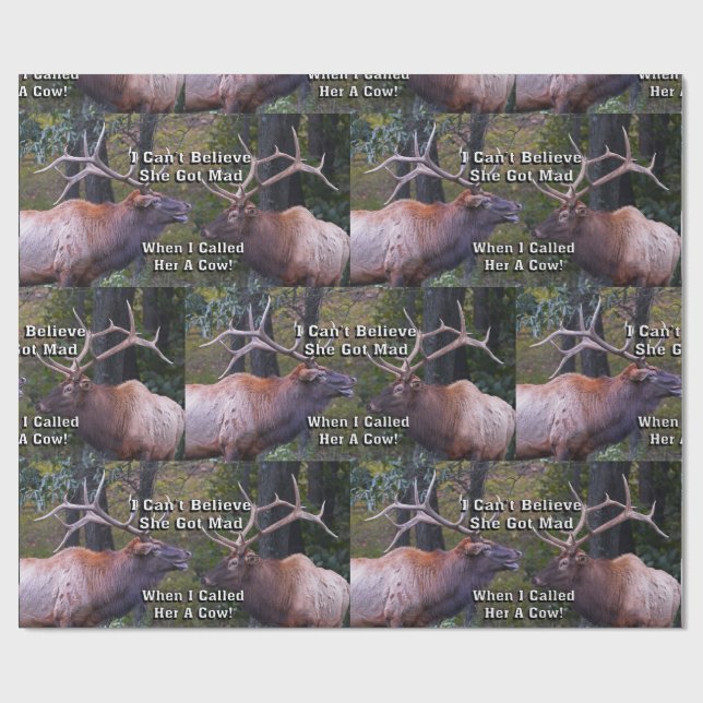 Lustig kann ich nicht glauben, dass sie wütenden geschenkpapier (Flach)