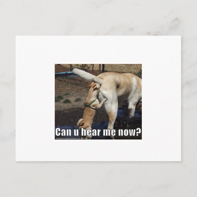 lustig postkarte (Vorderseite)