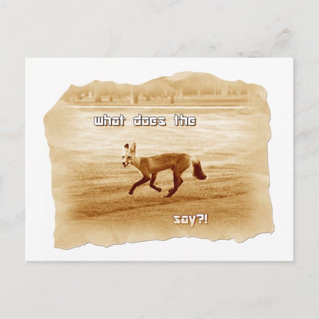 lustig, was der Fuchs sagt Postkarte (Vorderseite)