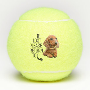 Lustig Wenn verloren, zurück zum Hunde-Foto Tennisbälle