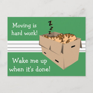 Lustig "wir bewegen" Katzen-neue Ankündigungspostkarte