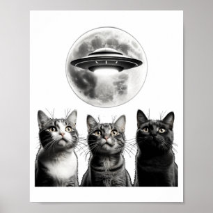 Lustige 3 verängstigte Katzen Mond Ufo Alien Erde Poster