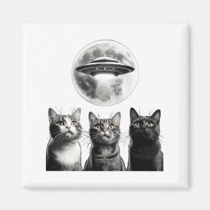 Lustige 3 verängstigte Katzen Mond Ufo Alien Erdin Magnet