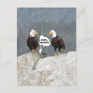Lustige Adler und Möwe Postkarte