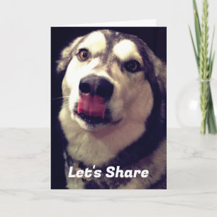 Lustige Alaskan Malamute Cover-Fotovorlage Karte