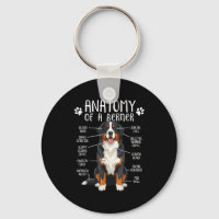 Lustige Anatomie Berner Sennenhund Süßer Berner Li