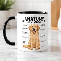 Lustige Anatomie-Diagramm des Labrador Retrievers