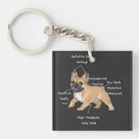 Lustige Anatomie einer Französischen Bulldogge-Ill