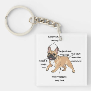 Lustige Anatomie einer Französischen Bulldogge Ill Schlüsselanhänger