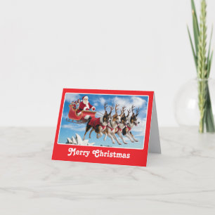 Lustige Australian Shepherd Weihnachtskarte Feiertagskarte