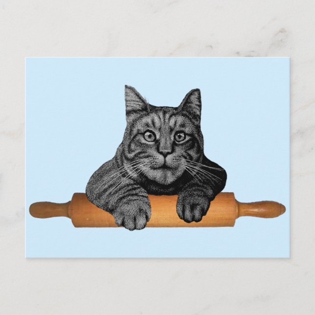lustige Bäckerkatze Postkarte (Vorderseite)