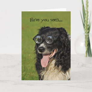 Lustige Border Collie-Flockung-Karte Karte