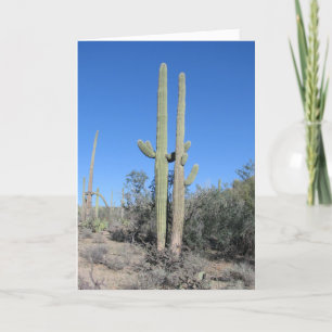 Lustige Cactus-Hochzeitstagskarte Karte