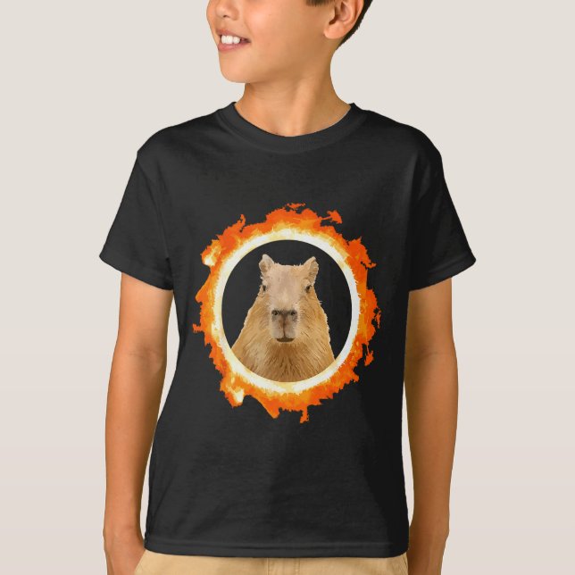 Lustige Capybara-Finsternis-Meme-Solar-Tier T-Shirt (Vorderseite)