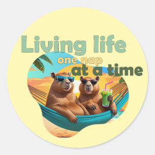 lustige Capybara Liebhaber Geschenk ,niedliche Cap Runder Aufkleber