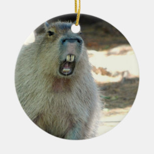 Lustige Capybara-Verzierung Keramik Ornament