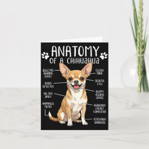 Lustige Chihuahua-Anatomie eines Chihuahua-Hundebe Karte