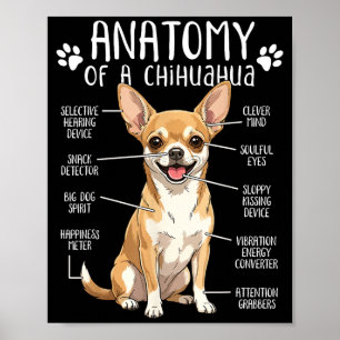 Lustige Chihuahua-Anatomie eines Chihuahua-Hundebe Poster