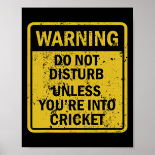 Lustige Cricket-Sport-Themen-Geburtstagsfeier Cric Poster